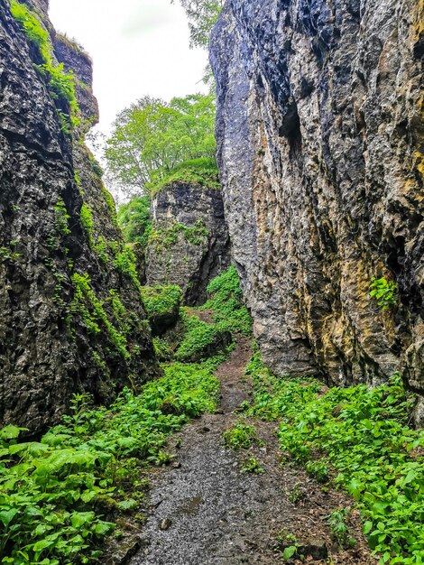 Stone Bowl gorge una riserva naturale unica Gola in montagne paesaggio natura sul Daghestan Russia