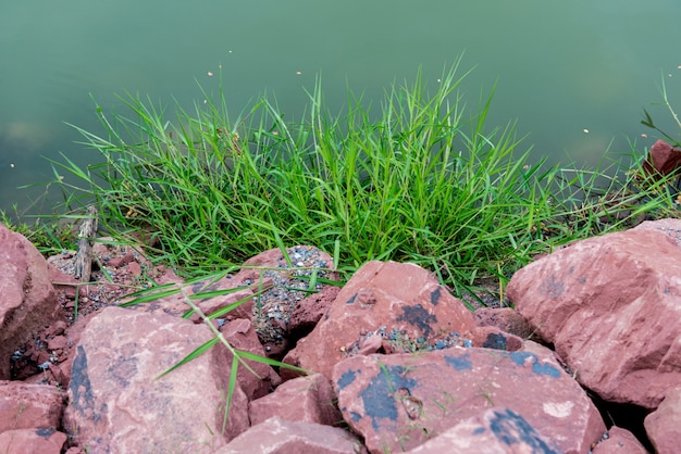 Stone Edge of water tower