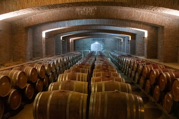 storica sala di maturazione del vino in botti di rovere e bassa temperatura presso la cantina Undurraga in Cile
