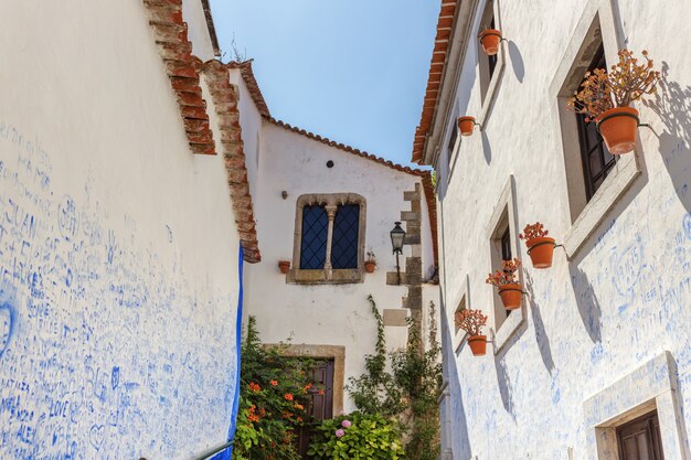 Storico villaggio portoghese di Obidos e stradine acciottolate.