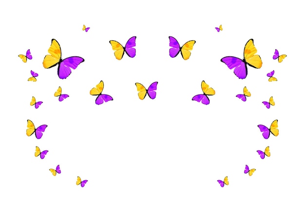 Stormo tropicale di farfalle colorate volanti isolate su bianco. falene tropicali. insetti volanti. Foto di alta qualità