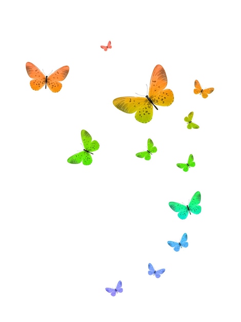 Stormo tropicale di farfalle colorate volanti isolate su bianco