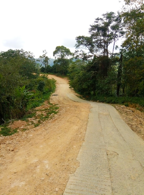 Strada accidentata nella giungla dell'Asia. La campagna della Thailandia.