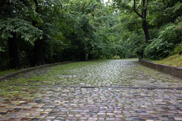 Strada acciottolata nel parco