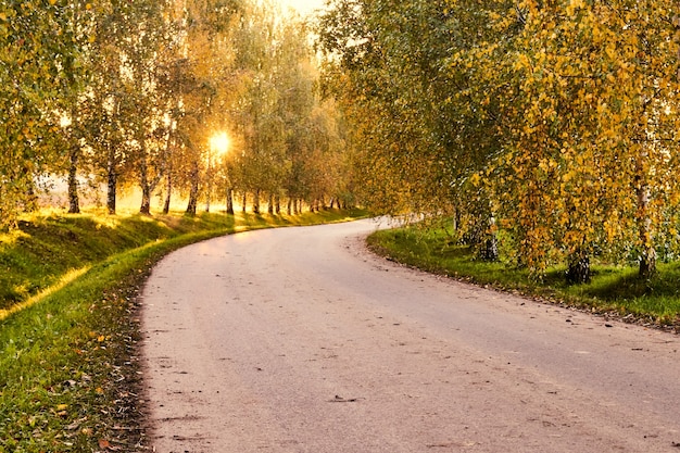 Strada al tramonto