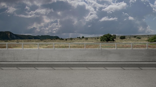 Strada asfaltata con erba verde