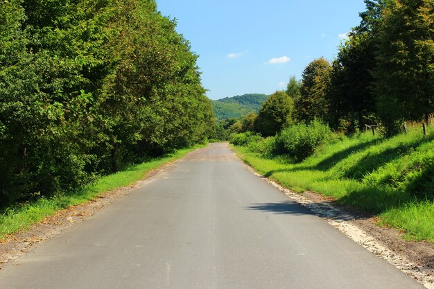 Strada asfaltata e natura estiva