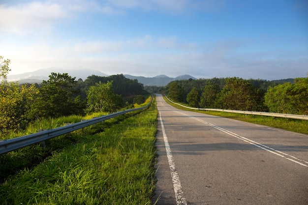 Strada asfaltata in campagna