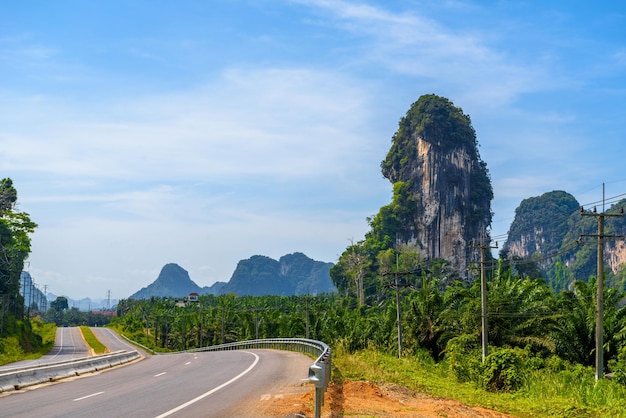 Strada asfaltata nella giungla Khlong Phanom National Park Ka