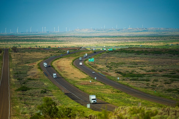 Strada asfaltata rurale tra i campi nella stagione estiva del Texas