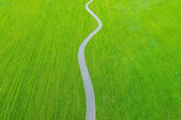 Strada asfaltata tortuosa su campi di erba verde Sfondo aereo minimalista