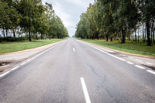 Strada asfaltata vuota circondata dalla foresta decidua di estate