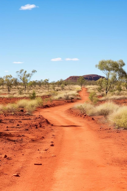 strada attraverso la boscaglia nativa nel territorio settentrionale dell'Australia sotto un cielo blu con luce