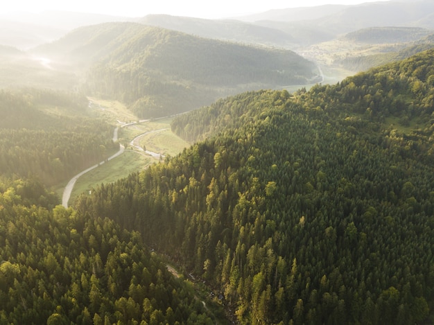 Strada attraverso le montagne e la foresta catturata dall'alto