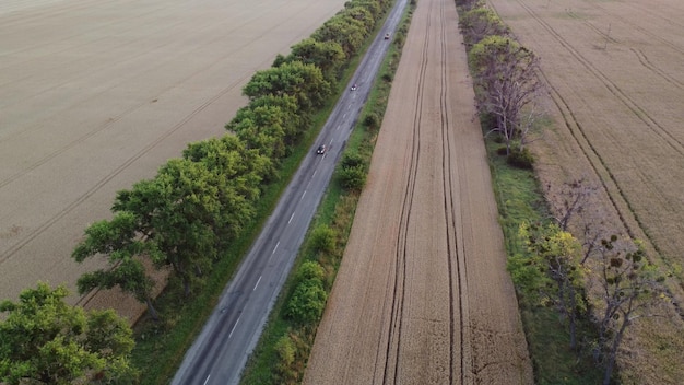 Strada autostradale che conduce automobili e alberi tra le aree seminate e maturate grano agricolo maturo lontano