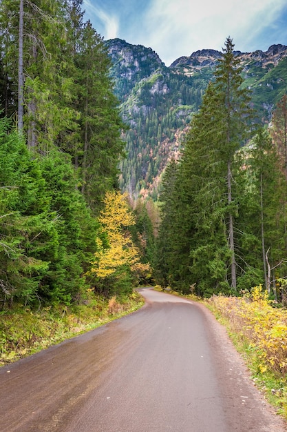 Strada buia nei Monti Tatra in autunno Polonia