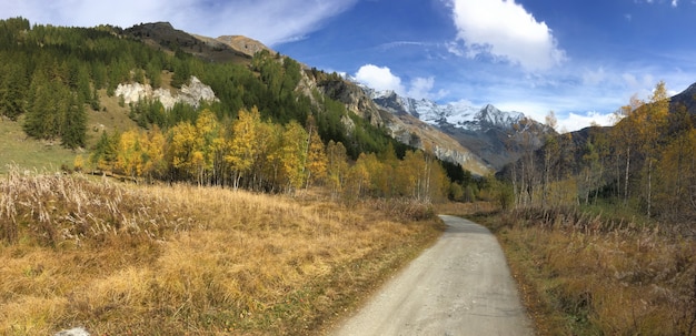 Strada che attraversa paesaggio autunnale in montagna in vista panoramica