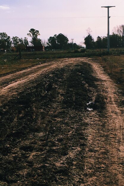 Strada che attraversa un campo