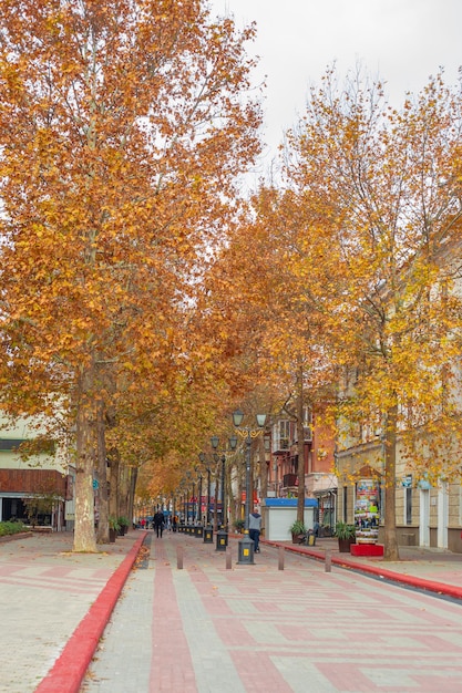 Strada cittadina con un caffè e un sentiero a piedi in una giornata autunnale, Crimea kerch