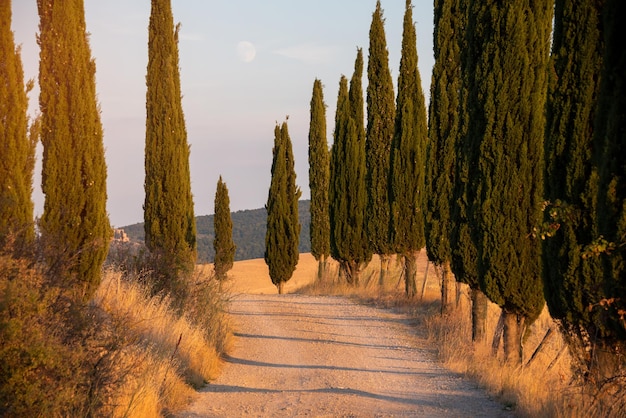 Strada con cipressi in Toscana Italia in estate Famosa campagna e destinazione turistica