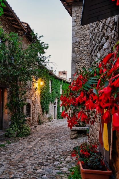 Strada con edera e fiori rossi sulle pareti del borgo medievale di Perouges a Lione France