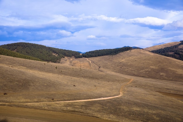 Strada con foresta in montagna