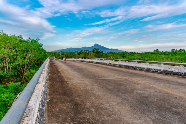 Strada con la natura dell&#39;albero e del ponte al sole