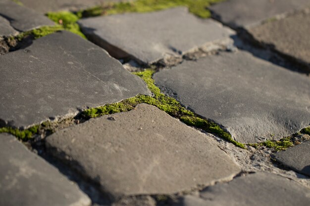 Strada con muratura in pietra e muschio