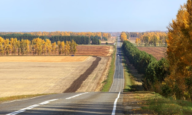 Strada con vista autunnale tra i campi e le foreste