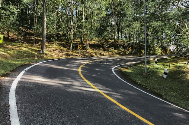 Strada curva alberi ed erba sul ciglio della strada.