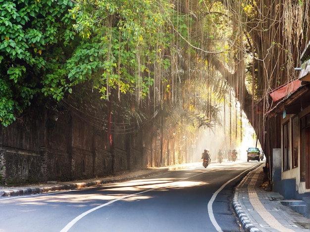 Strada curva attraverso la città di Ubud Bali Indonesia