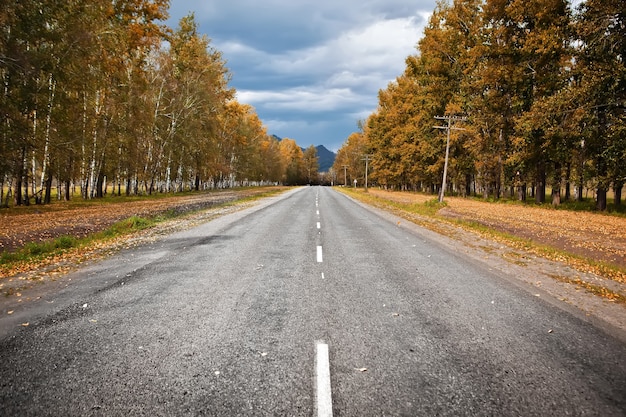 Strada d'autunno attraverso la foresta