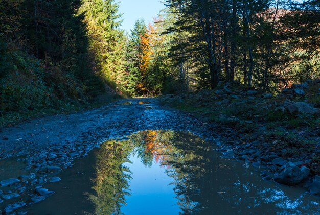 Strada d'autunno nei Carpazi Ucraina