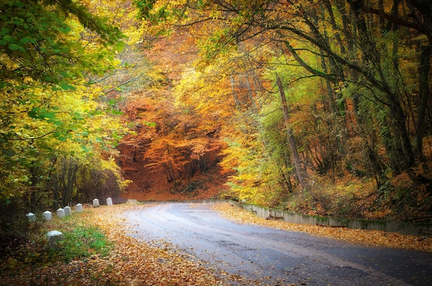 Strada d'autunno