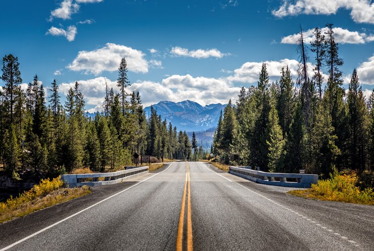 Strada dal Parco Nazionale di Yellowstone al Parco Nazionale del Grand Teton, Wyoming, USA
