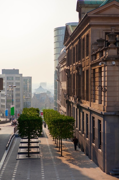 Strada del centro di Bruxelles sul tramonto, Belgio