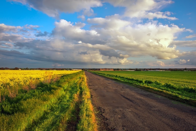 Strada del villaggio in Ucraina con campi e cielo nuvoloso blu