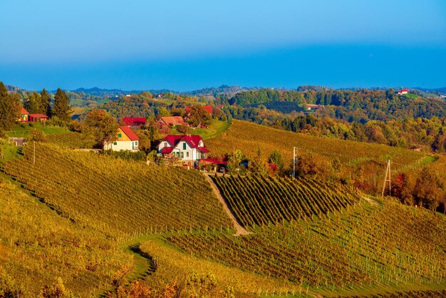 Strada del vino Maribor Slovenia