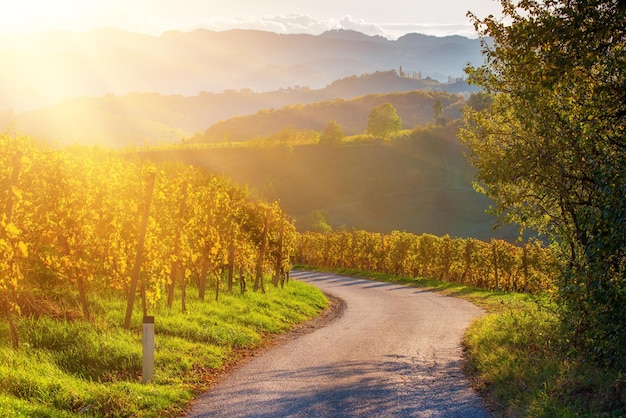 Strada del vino slovena e austriaca
