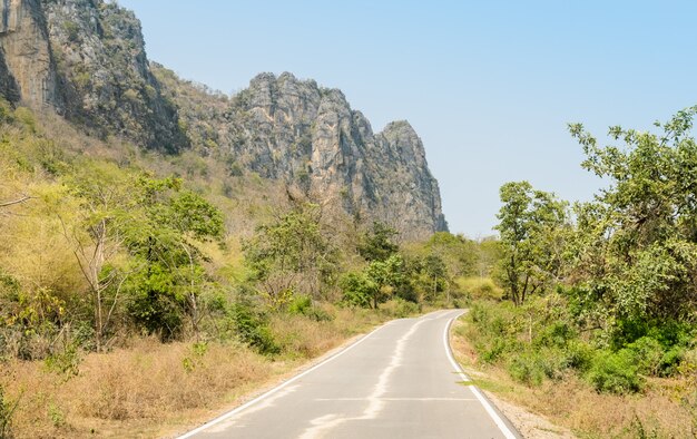 Strada della curva della campagna nel giorno di estate