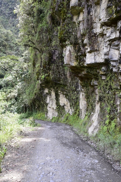 Strada della morte Camino de la Muerte Yungas Strada del nord tra La Paz e Coroico Bolivia