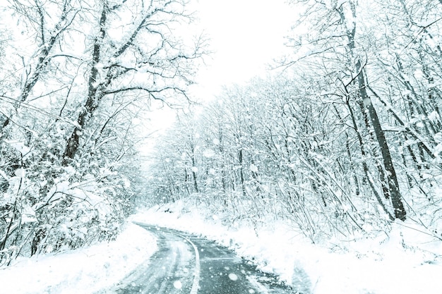 Strada della neve della foresta di inverno. Vista della neve di inverno della strada forestale.