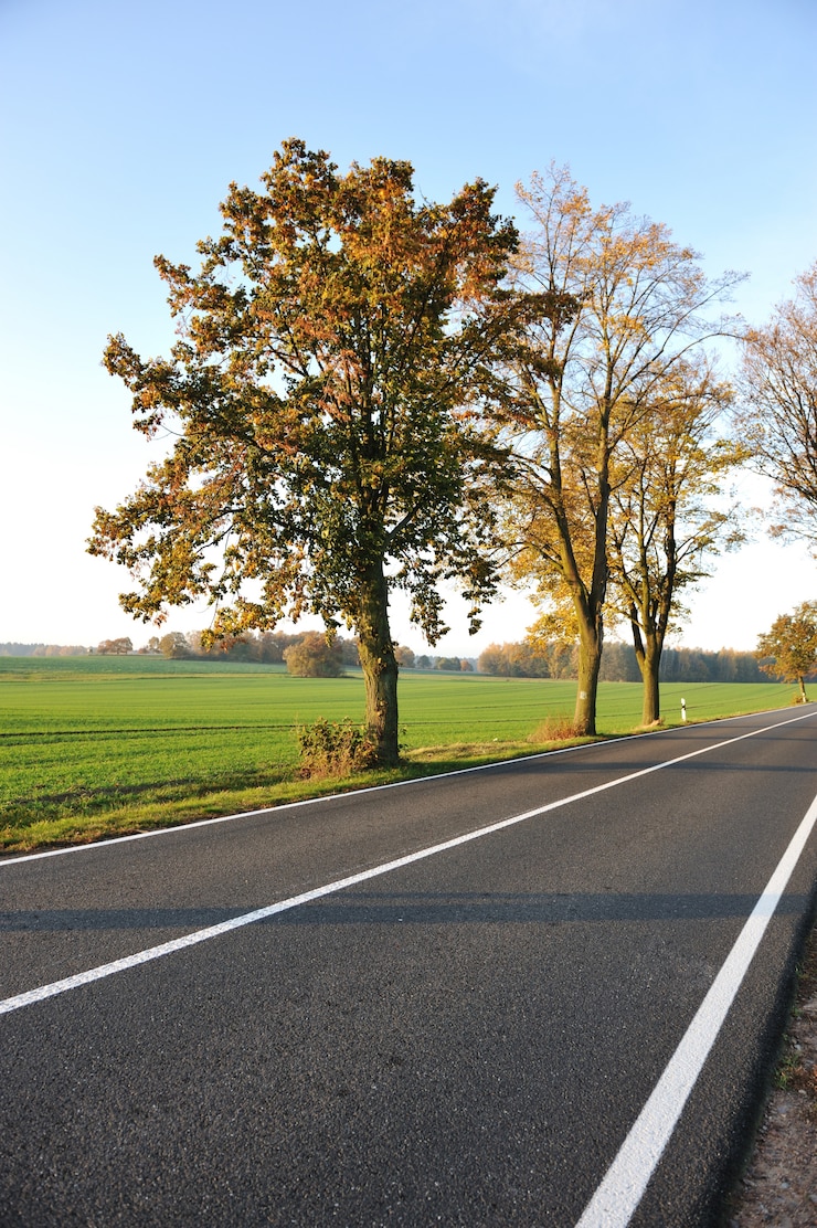 Foto strada di campagna, bella scena