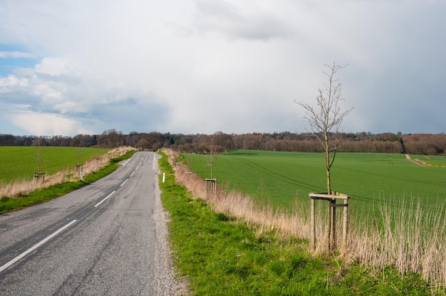 Strada di campagna danese