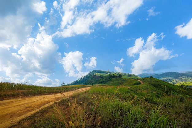 strada di campagna e montagneSplendida vista sul ciglio della strada con la natura verde e lo sfondo del cielo blu