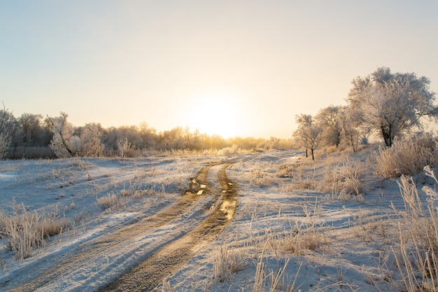 strada di campagna in inverno all'alba