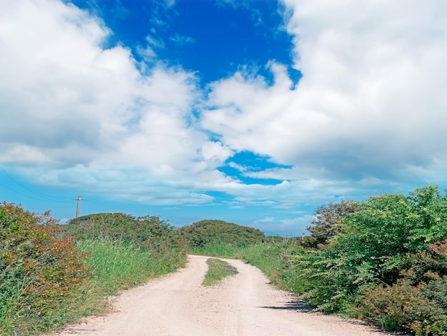 Strada di campagna in una giornata nuvolosa in Sardegna