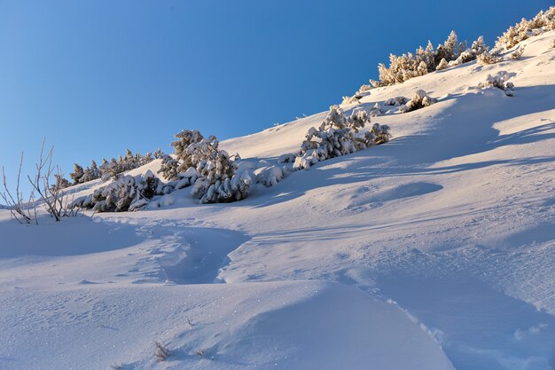 Strada di campagna innevata in montagna