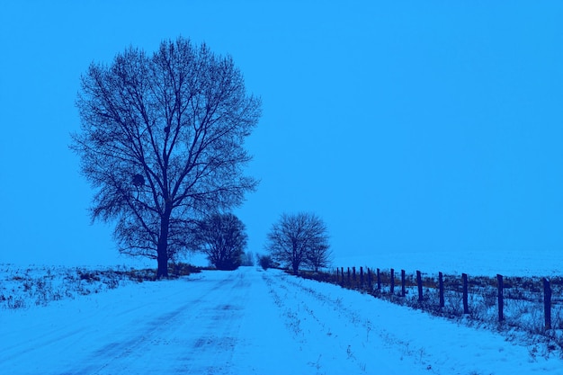 Strada di campagna invernale coperta di neve durante le nevicate Tonificazione blu