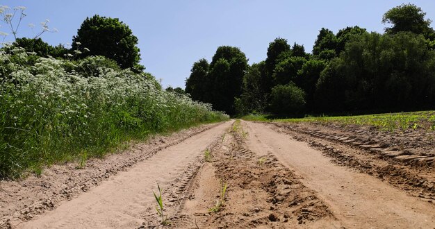 strada di campagna nella stagione estiva